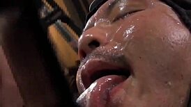 Gay Bukkake Gloryhole Sucking Frenzy