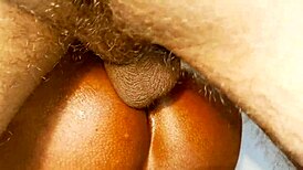 Beautiful wife Sumona and Hanif PK in hardcore pussy eating show