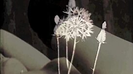 My Secret Life with Vintage Tranny Revealed