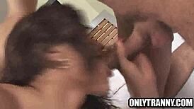 sexy brunette shemale sucking hard cock?