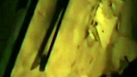 south american transgender miss t sharing her story 😊