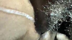 Ebony couple gets wild with homemade breeding action, so hot!