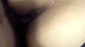 Amateurs bent over in doggystyle compilation, showing off big asses. 😏