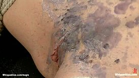 Bound Lesbians Hot Waxed And Whipped