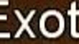 俺のデカチンポフェラしてくれ、インド美女待ってるよ