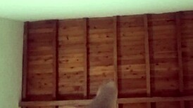 Neighbor Visits Early Morning After Husband Leaves