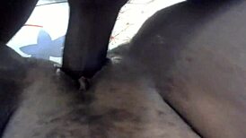 complications from cumshot to ebony stepmom in taboo teen scene 😅