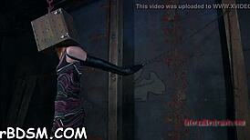 Discover Intriguing Bondage Porn Featuring Hotty