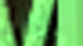 Do her big tits bounce during pussy fucking?