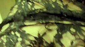 when i cheated on my boyfriend at the costume party, it was so hot. spanish edition! 😉