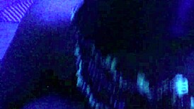 Compilation Of Redfantasies Shorts Freebie