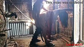 Red Saree Wife Gives Outdoor Blowjob in Official Localsex31 Video!