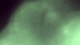 amateur milf sucks cock with handjob, feeling slutty and blonde.