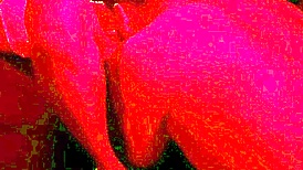 Watch me swing with plug and fuck my tight pussy?