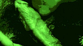 Hey, wanna hear the sins of our step mothers from my secret confessions?