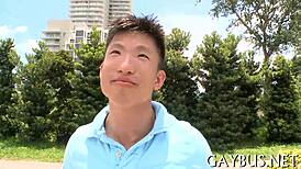 Homosexual sex scenes in video compilation.