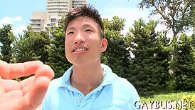 Homosexual sex scenes in video compilation.