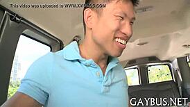 Homosexual sex scenes in video compilation.