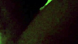 Did She Last Riding That Huge Cock All Night?!