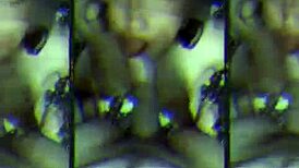 I Love Being a Whore on All Fours for Fat Cocks