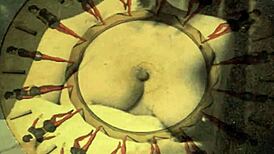 man, i cant even spell pornostalgia right, love this vintage hairy stuff tho!