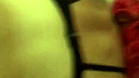 Doggy Style Fitness with Perfect Form