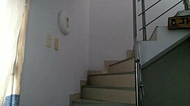 Brought a street girl home and started kissing her on the stairs