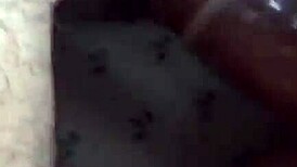 comendo a tiazinha 02, man i cant stop eatin her out!