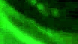 Best head ever on xvideos 😍