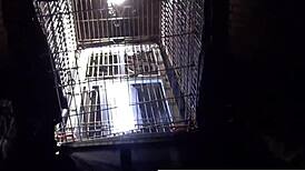 Dani Daniels: Bitch in Cage!