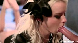 Brunette Blowjob Payment