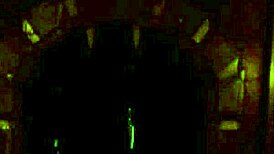 Exploring the prey of swords in this anime game trailer