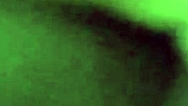 in miami, this cute busty brunette amateur has passionate sex