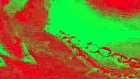 caroleta roots sitting on dildo with her ass 😈 loupan productions