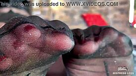 Goddess feet tease in cute black pantyhose up close