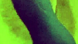 Panty Dreams with Pink Panties in Steamy Teasing Action