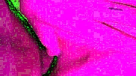 i love this quick doggystyle session with a mature milf