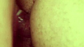 Our Neighbour Is Bisexual