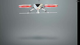 nudist decorates christmas tree