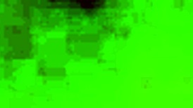 two lesbians lick each other softly