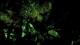 Vintage Erotic Illustration From Antique Comic Era