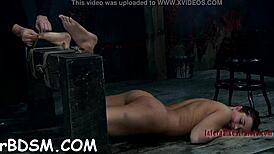 personal sadomasochism pics got me so horny for sucking cock