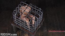 T beauty's tight pussy gets bound and fucked