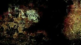 vintage erotic comic drawings from antique anime collections