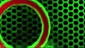 Erick pounds tasha reighn intensely with a tail butt plug lodged deep in her ass