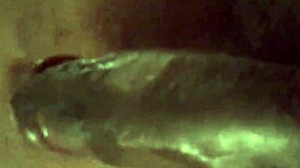 Old amateur wife chokes and sucks big black cock