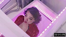 beautiful italian shemale pounds another shemale in wild lesbian action