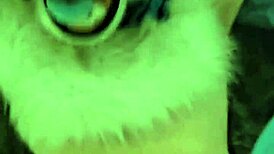 Boyfriend engages in rough play with partner