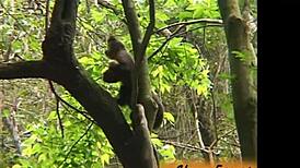 hey girls, rio hookups with hot brazilian amateurs outdoors 😍