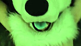 Boyfriend engages in rough play with partner